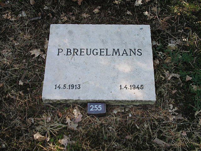 Afbeelding van graf of monument van Pieter Breugelmans