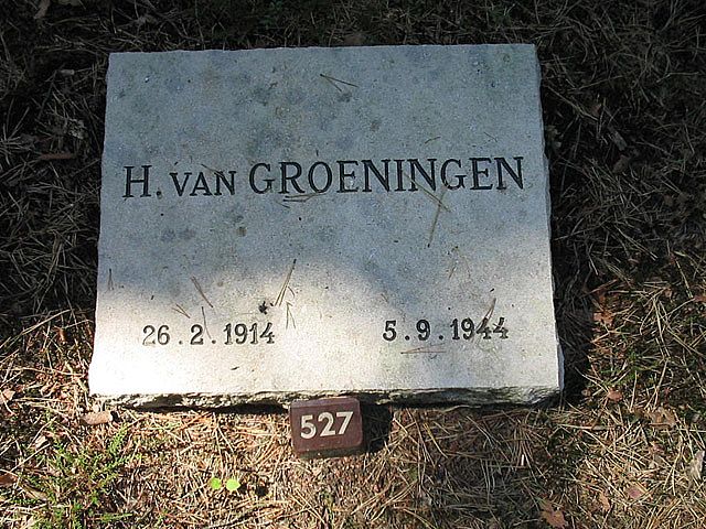Afbeelding van graf of monument van Hendrik van Groeningen
