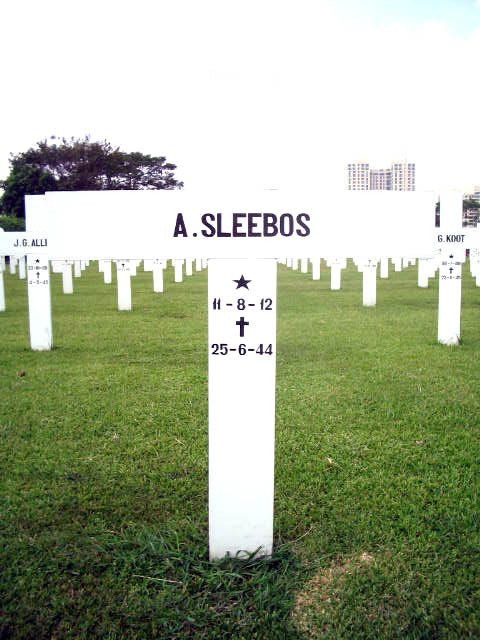 sleebos.a.2005.jpg