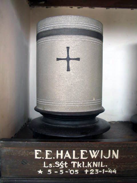 halewijn.e.e.2005.jpg