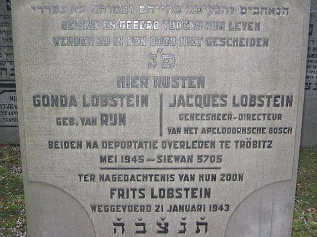 Afbeelding van graf of monument van Alagonda Lobstein-van Rijn