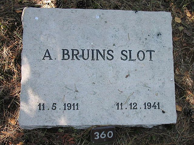 Afbeelding van graf of monument van Albert Bruins Slot