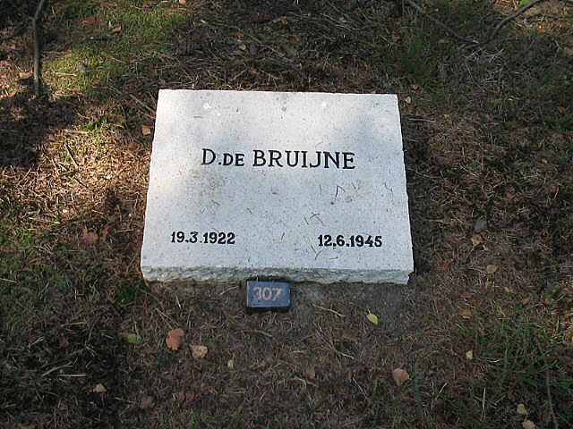Afbeelding van graf of monument van Daniël de Bruijne