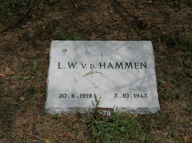 Afbeelding van graf of monument van Leendert Willem van der Hammen