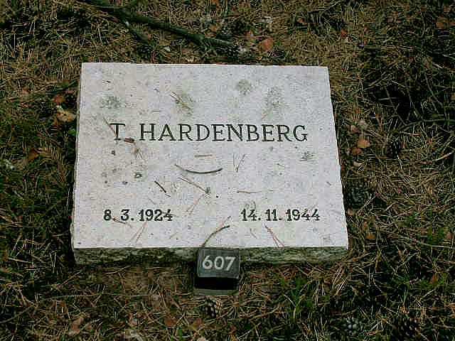 Afbeelding van graf of monument van Theunis Hardenberg