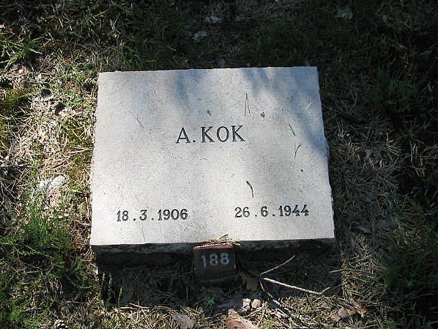 Afbeelding van graf of monument van Andries Kok