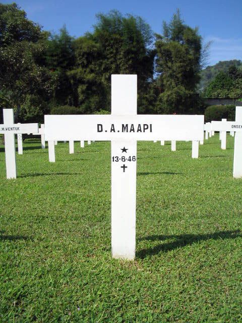 maapi.d.a.2005.jpg
