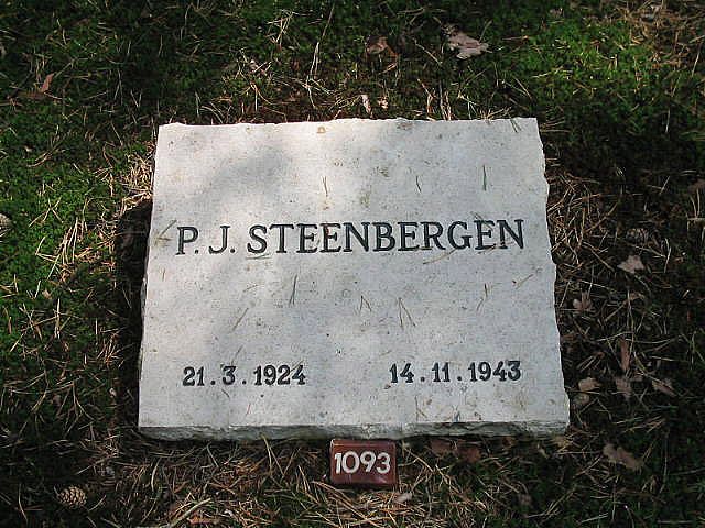 Afbeelding van graf of monument van Petrus Jozef Steenbergen