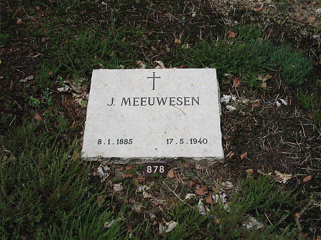 Afbeelding van graf of monument van Johannes Meeuwesen