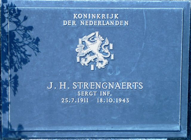 Afbeelding van graf of monument van Johannes Henri Strengnaerts