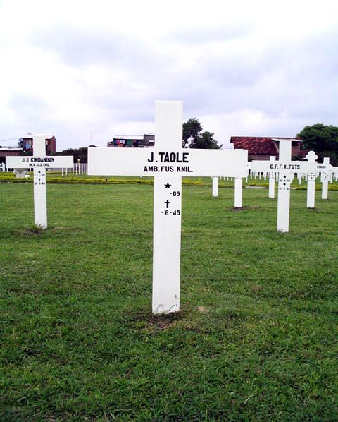 taole.j.2005.jpg