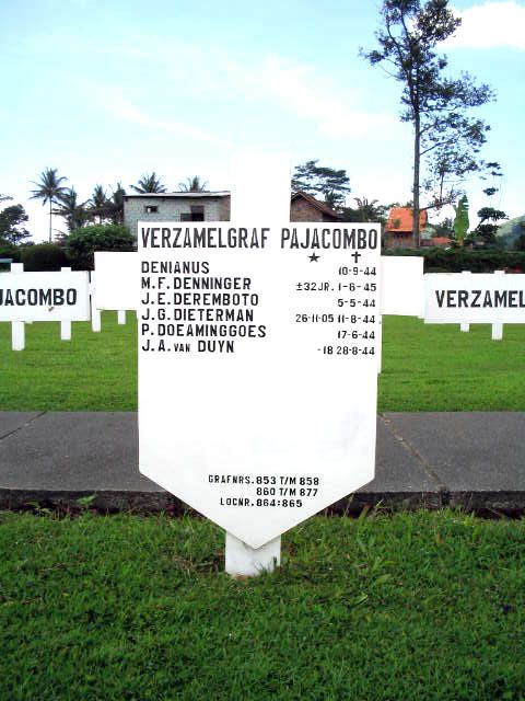 doeaminggoes.p.2005.jpg