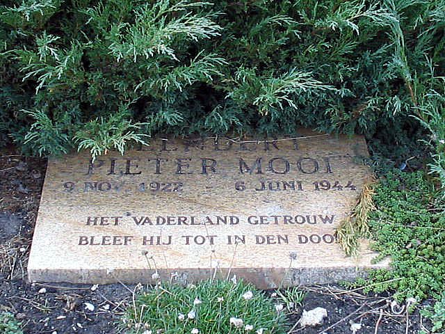 Afbeelding van graf of monument van Leendert Pieter Mooi