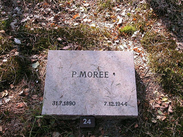 P.Moree(1).JPG