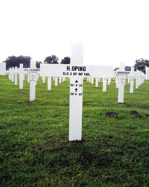 Afbeelding van graf of monument van Herbert Oping