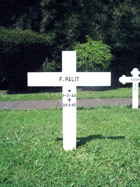 palit.f.2005.jpg