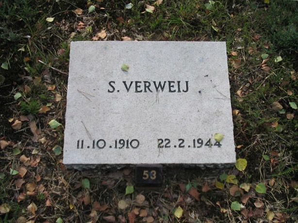 Afbeelding van graf of monument van Stephanus Verweij