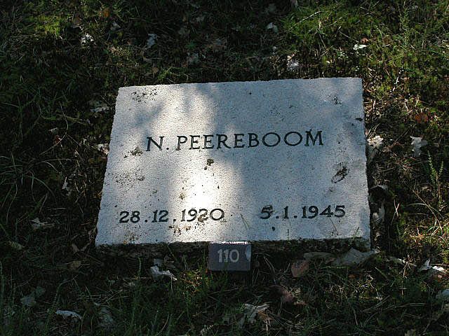 Afbeelding van graf of monument van Nammene Peereboom