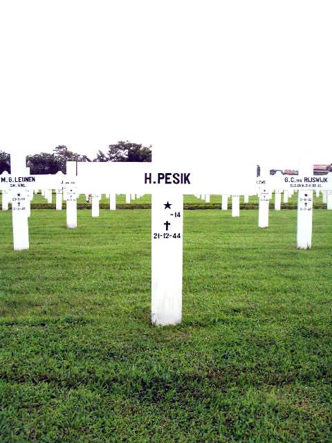 Afbeelding van graf of monument van H. Pesik