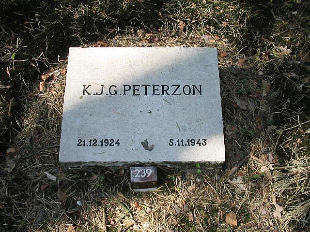 Afbeelding van graf of monument van Klaas Johannes Gerbe Peterzon