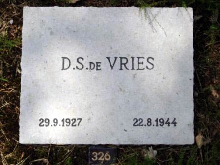 Afbeelding van graf of monument van Derk Siebertus de Vries