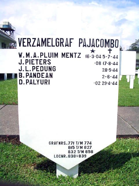 pluim mentz.w.m.a.2005.jpg