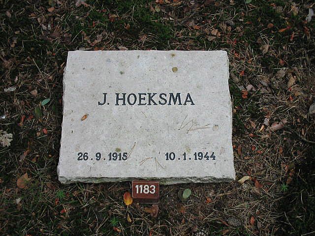 Afbeelding van graf of monument van Jelle Hoeksma