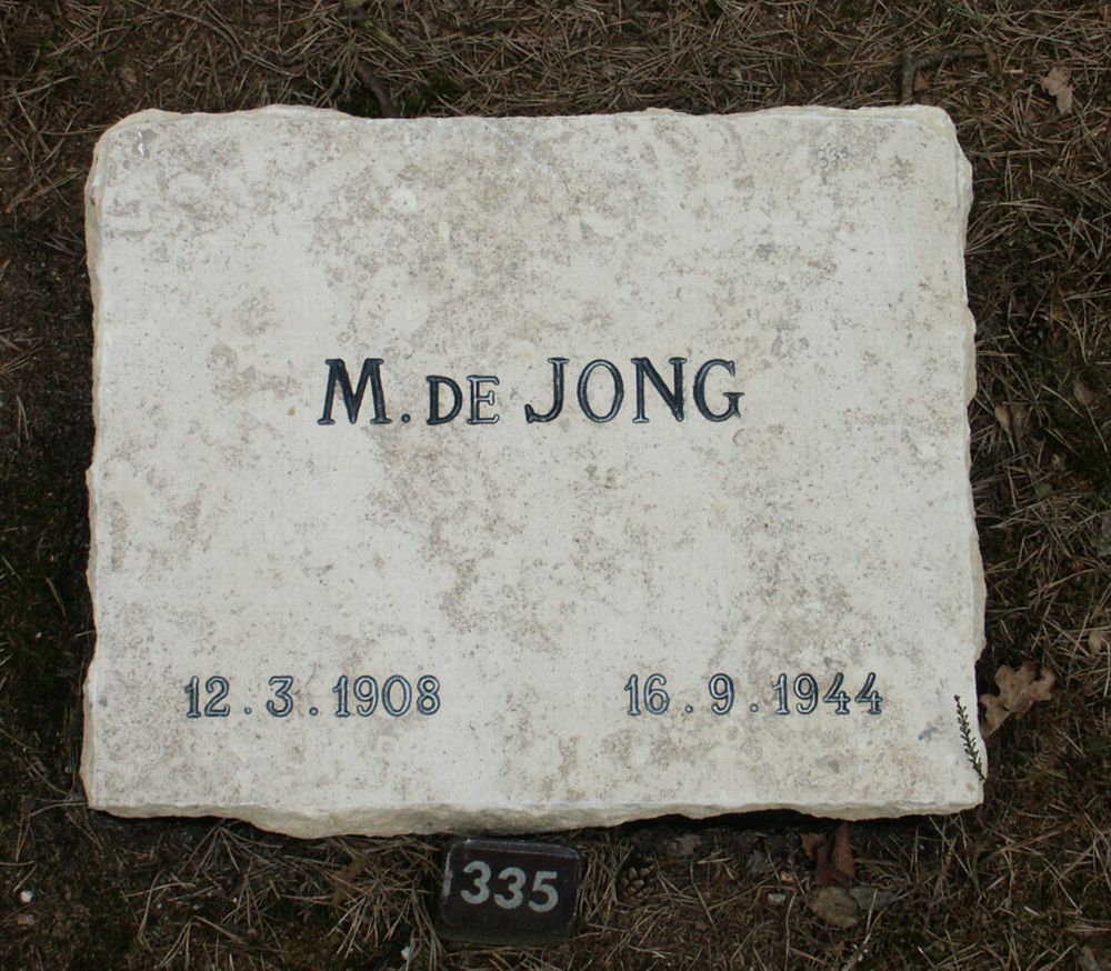 Afbeelding van graf of monument van Marinus de Jong