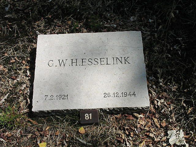 Afbeelding van graf of monument van Gerardus Willem Hendrik Esselink
