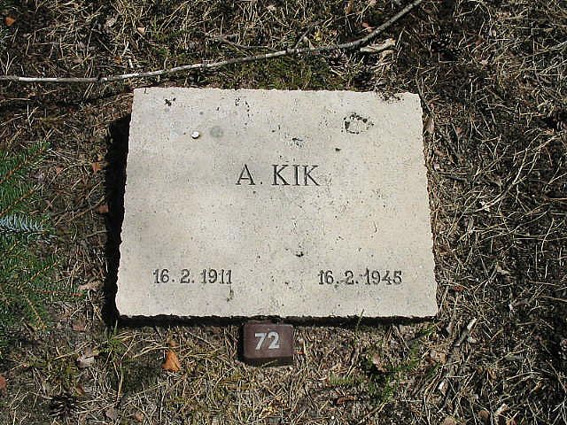 Afbeelding van graf of monument van Adriaan Kik