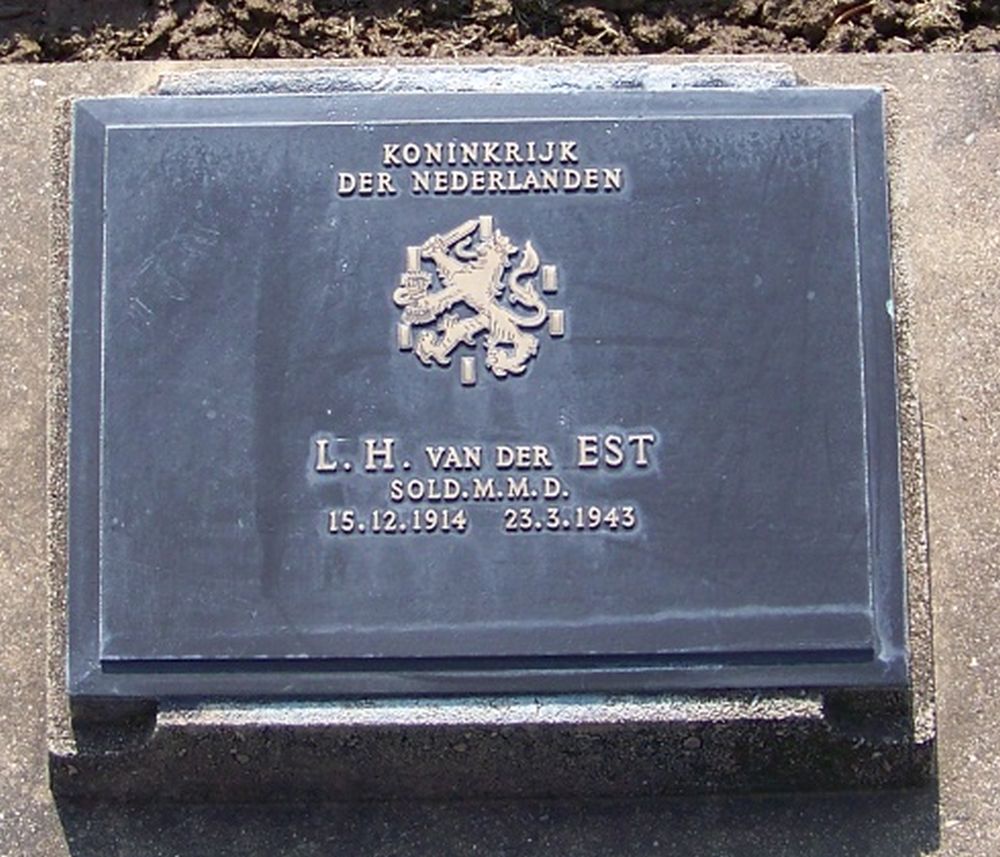 5. D. 29.JPG
