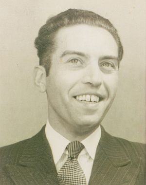 P.J.H. van Ham