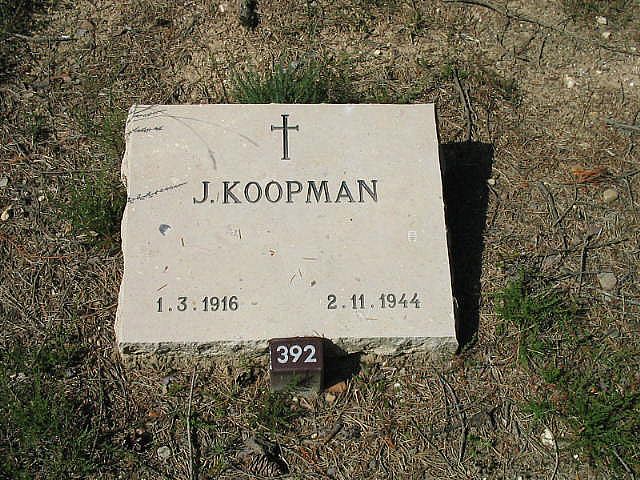 Afbeelding van graf of monument van Johannes Koopman