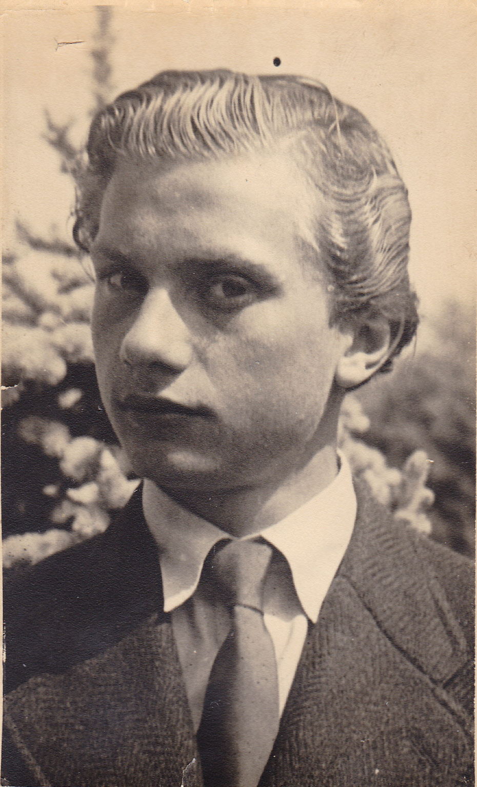 S.J. Schuiermanni