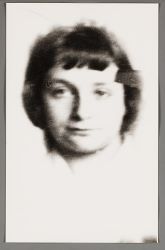 F.H. de Vries