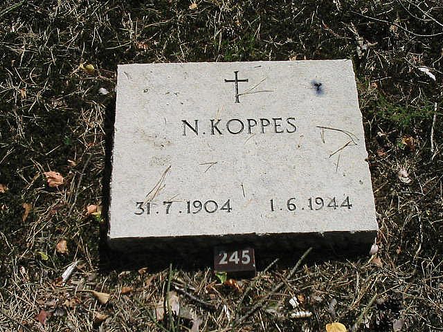 Afbeelding van graf of monument van Nicolaas Koppes