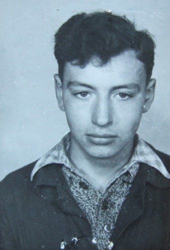 M. Ardel