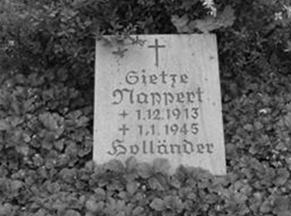 noppert.JPG