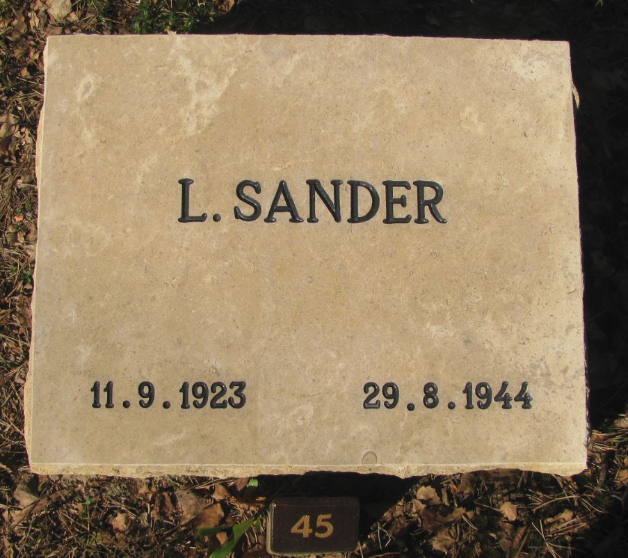 Sander.JPG