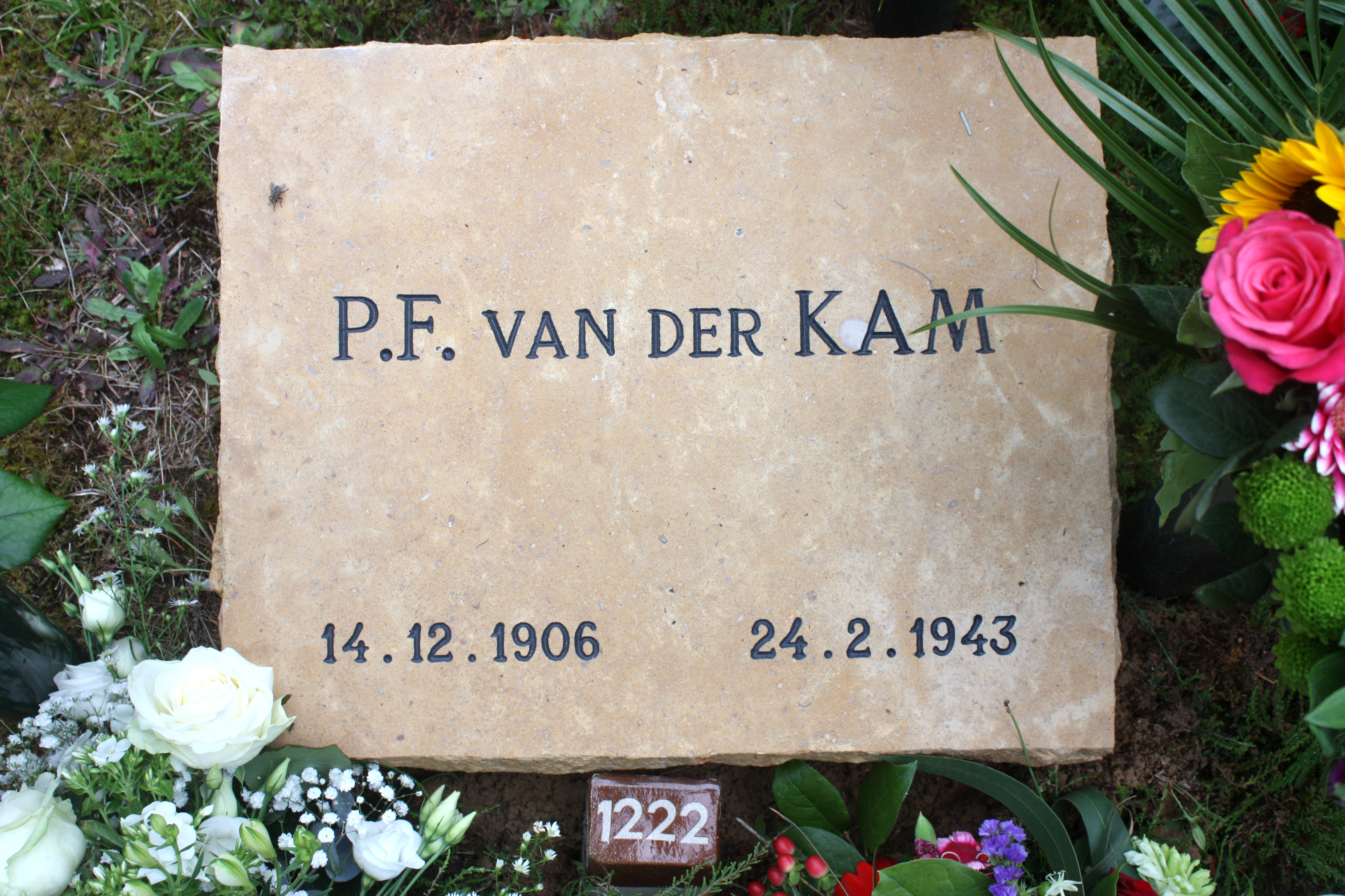 IMG_0096 kopiëren.jpg