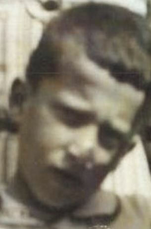 Salomon van der Ham