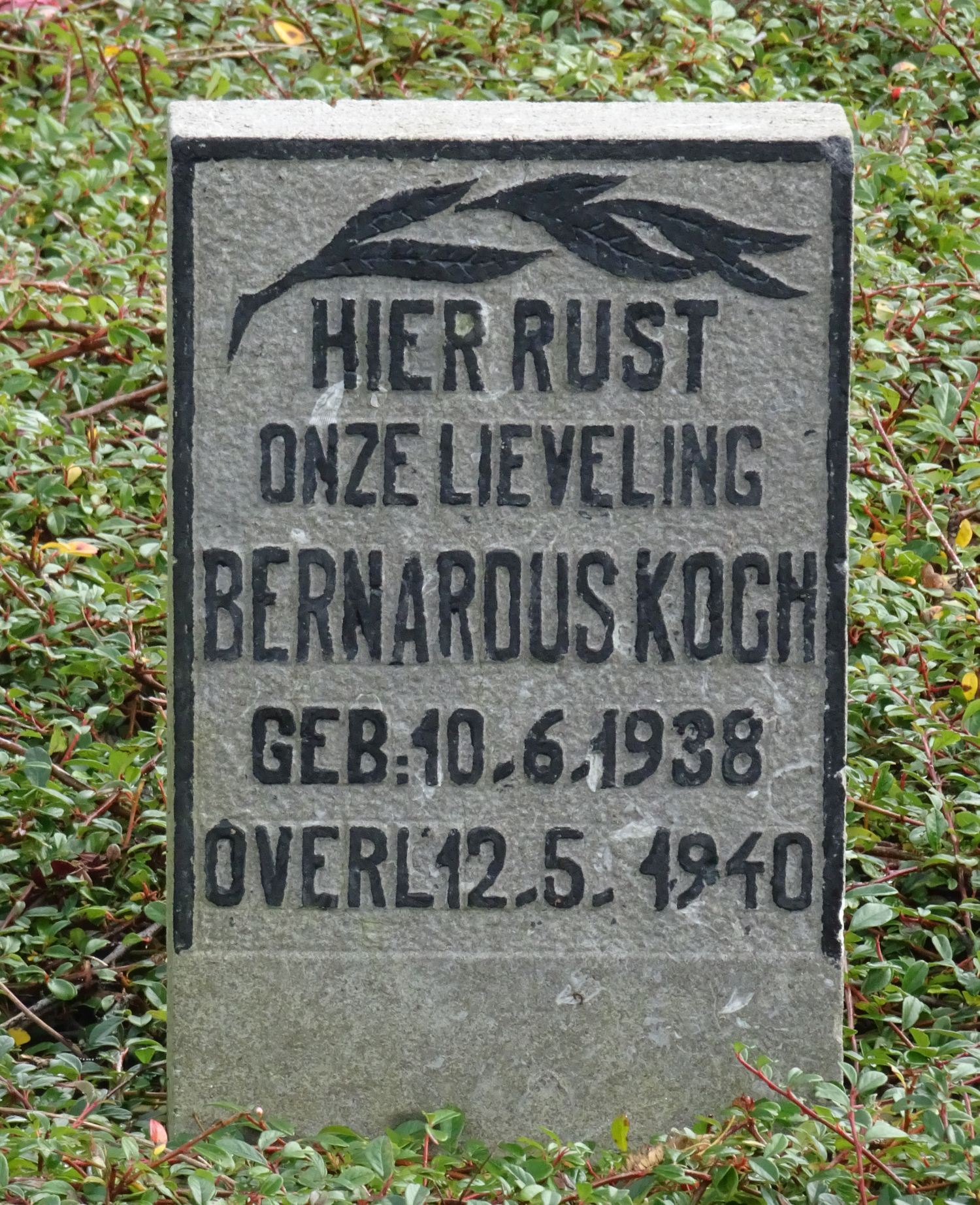 Afbeelding van graf of monument van Bernardus Koch