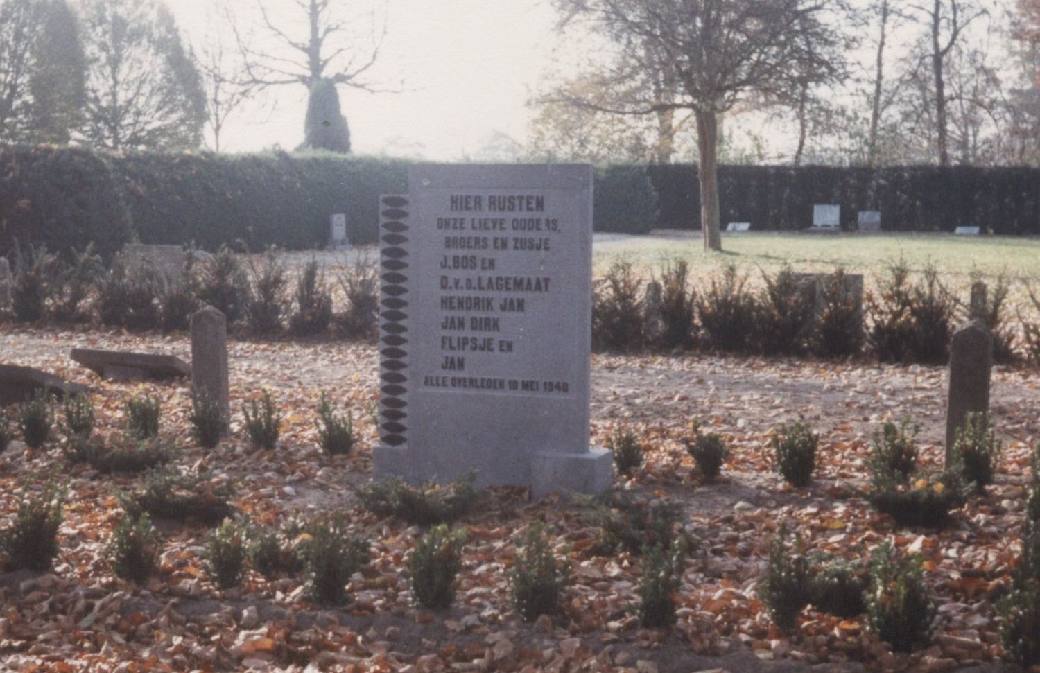 Graffoto Bos-van de Lagemaat