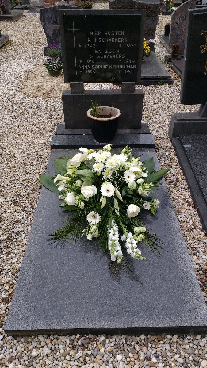 Afbeelding van graf of monument van Gerardus Schaekers