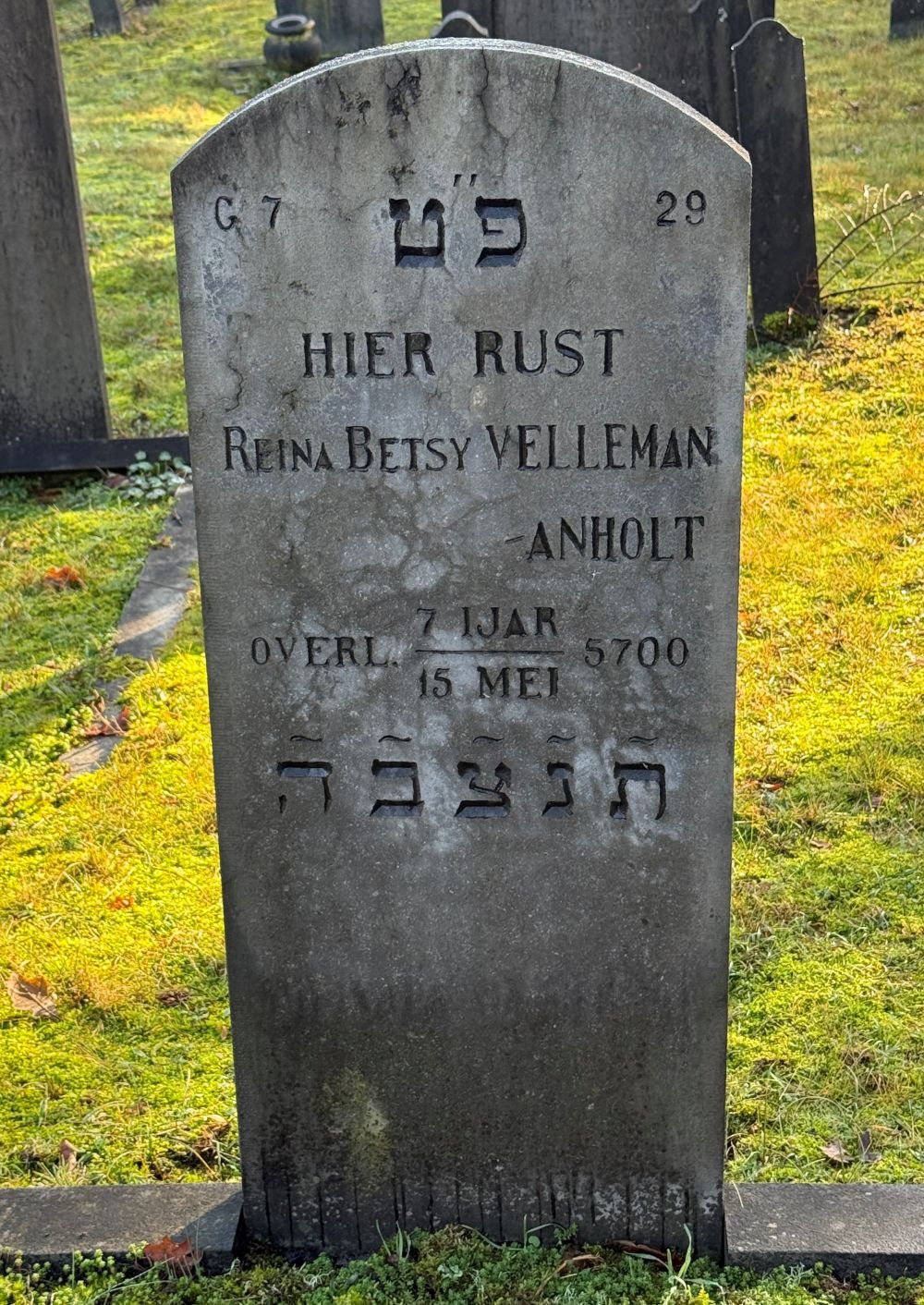 Graffoto R.B. Velleman-Anholt