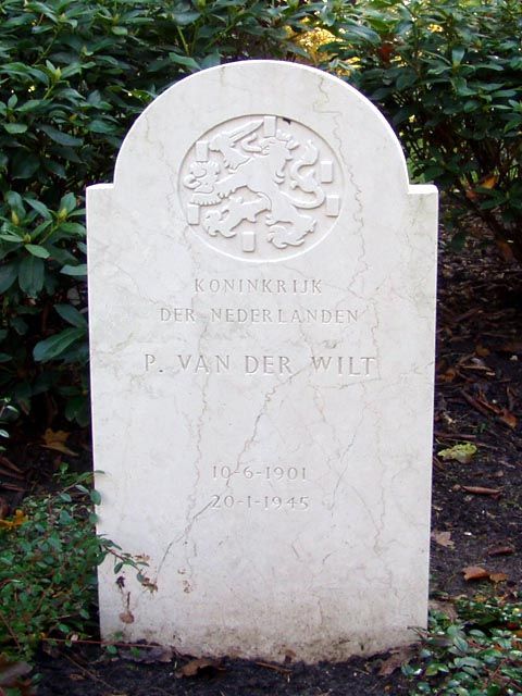 Afbeelding van graf of monument van Petrus van der Wilt
