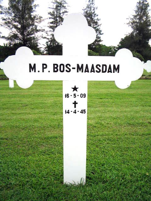 Afbeelding van graf of monument van Maria Pieternella Bos-Maasdam