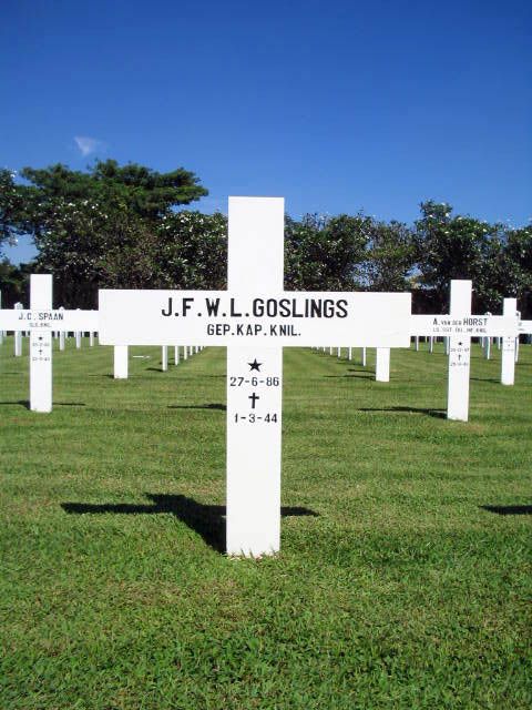 Afbeelding van graf of monument van Jan Frederik Willem Lodewijk Goslings