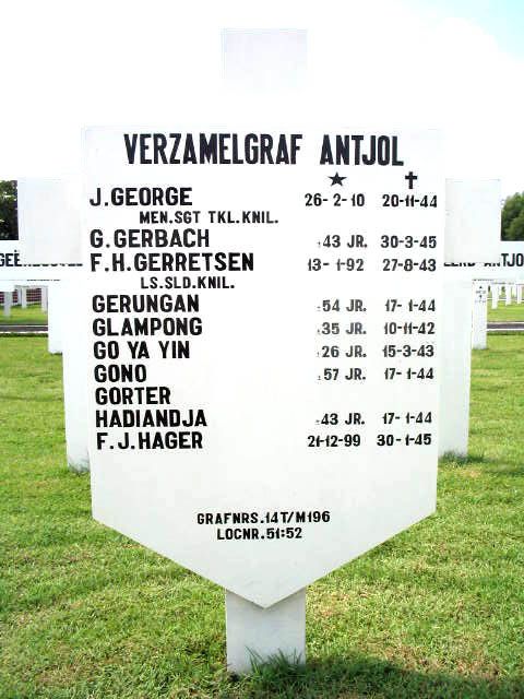 gono.2005.jpg